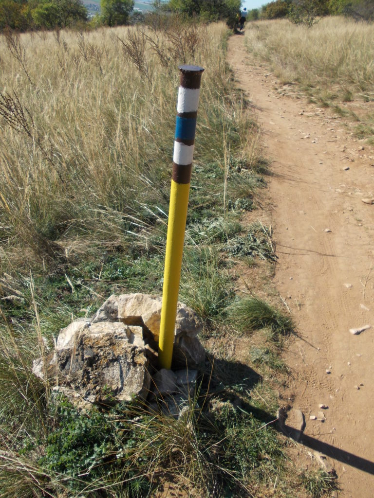 Stake steel with a marker